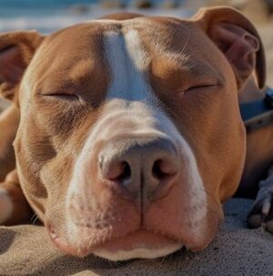 Meet your Posher, Jacinta